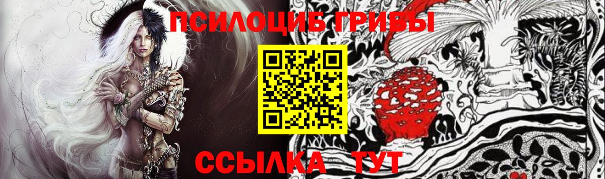 Галлюциногенные грибы Cubensis Гудермес